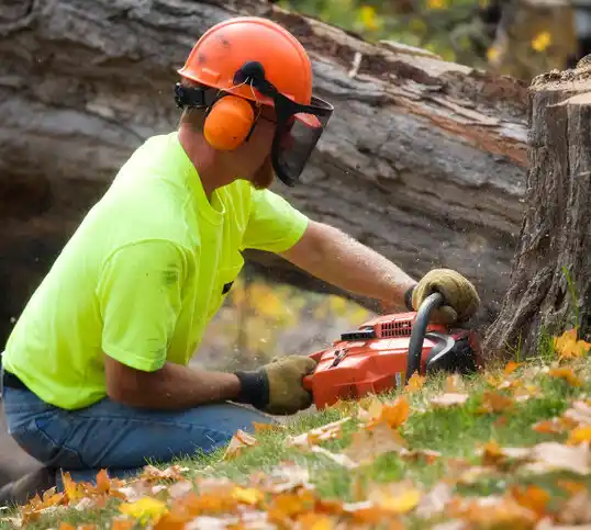 tree services Hammond